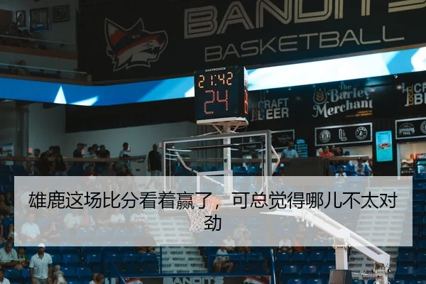 雄鹿这场比分看着赢了，可总觉得哪儿不太对劲